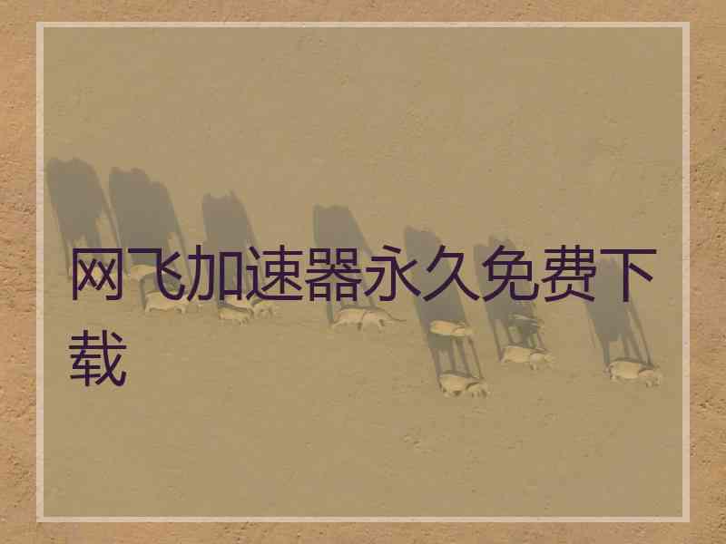 网飞加速器永久免费下载