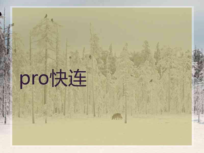 pro快连