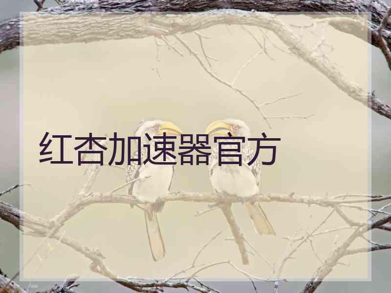 红杏加速器官方