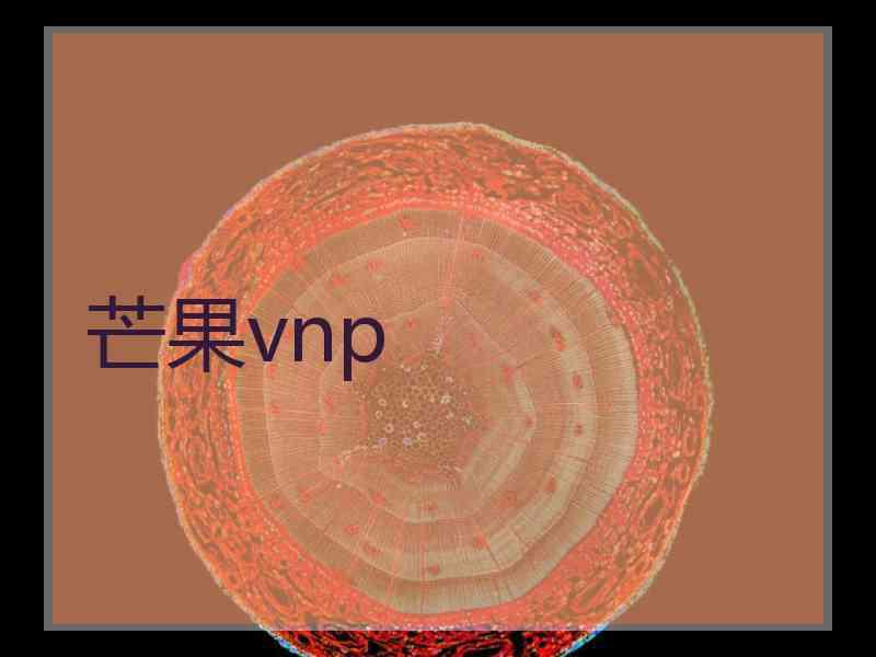 芒果vnp