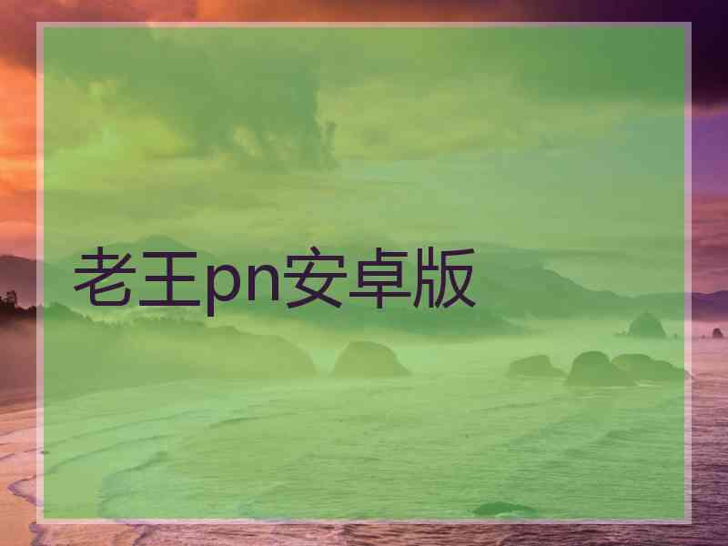 老王pn安卓版