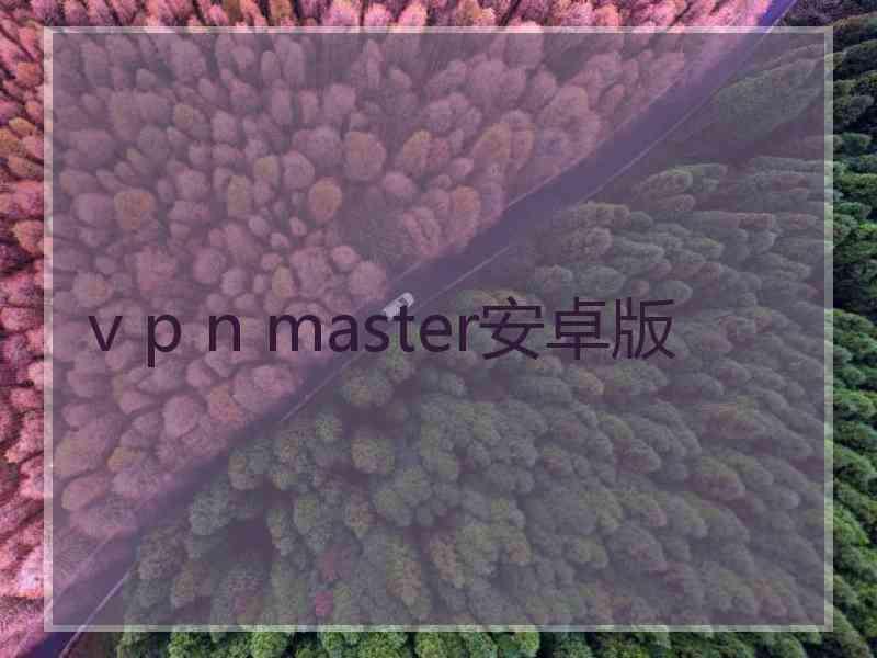 v p n master安卓版