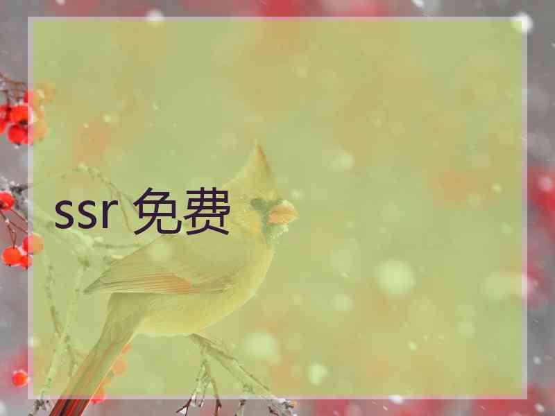 ssr 免费