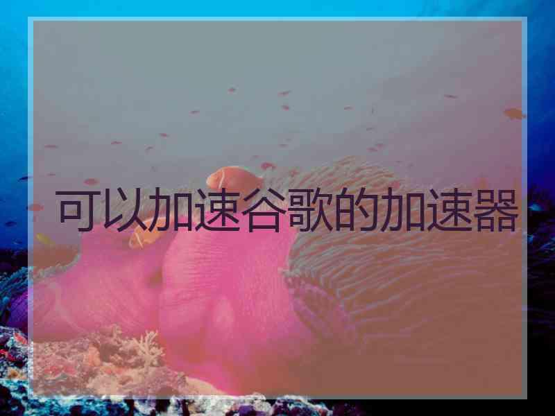 可以加速谷歌的加速器