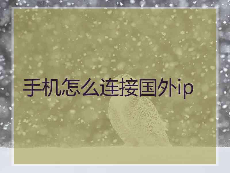 手机怎么连接国外ip