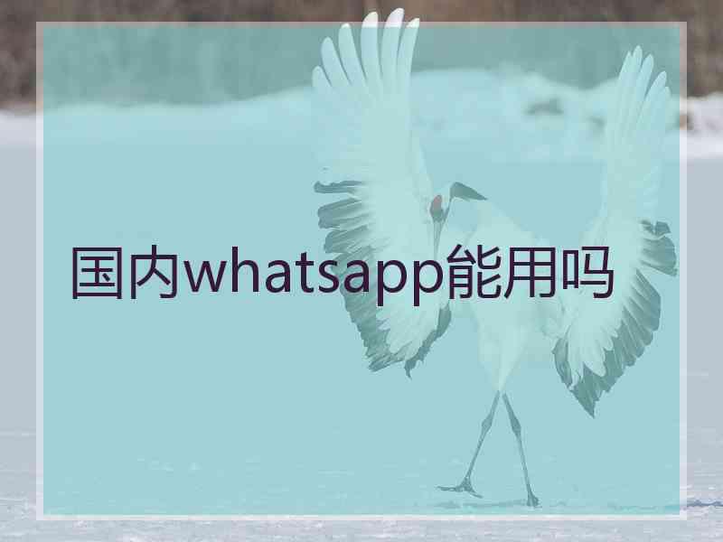 国内whatsapp能用吗