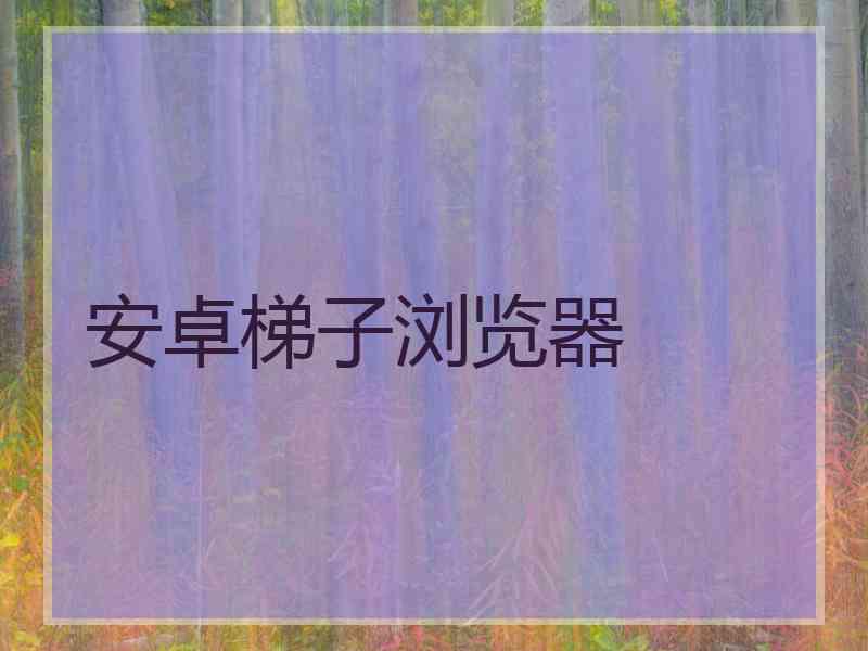 安卓梯子浏览器