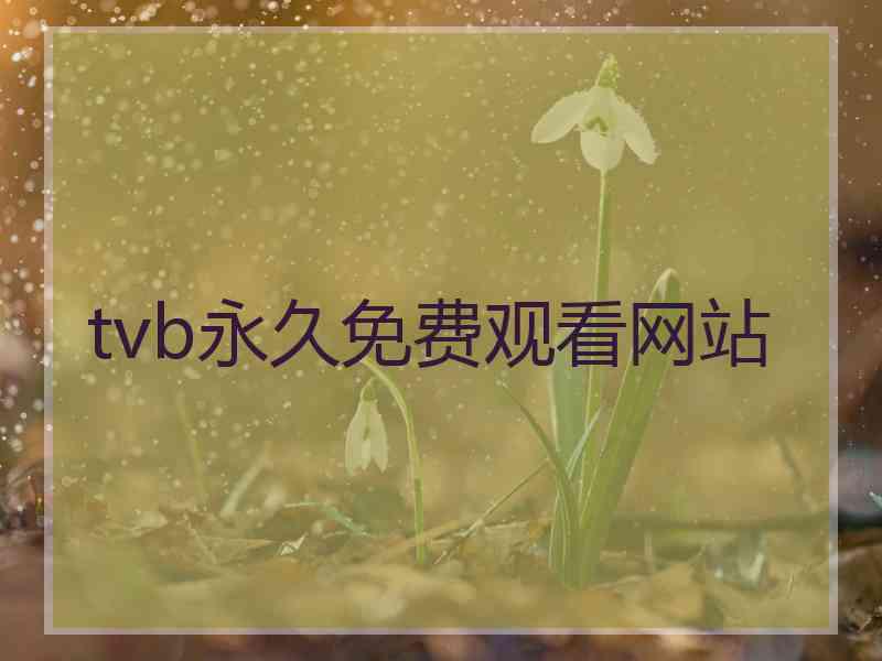 tvb永久免费观看网站