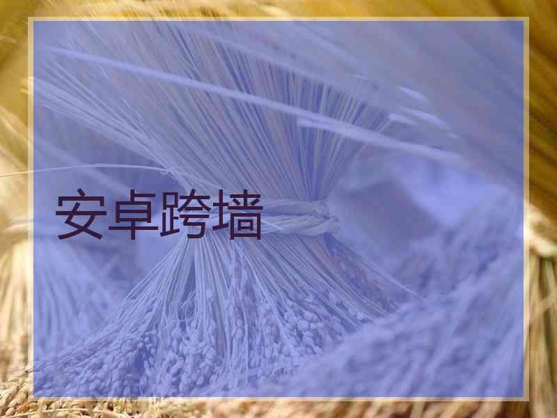 安卓跨墙