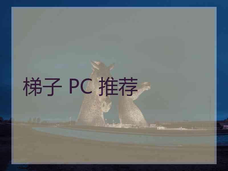 梯子 PC 推荐