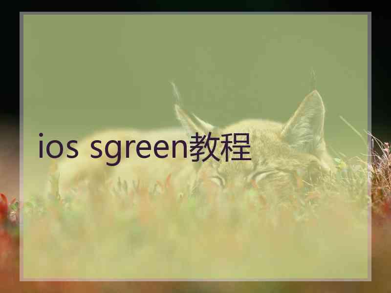 ios sgreen教程