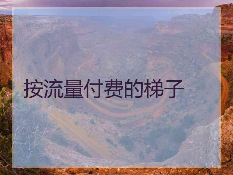 按流量付费的梯子