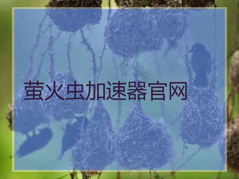 萤火虫加速器官网