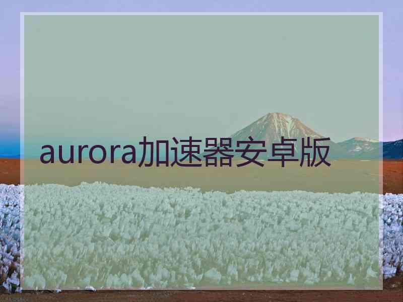 aurora加速器安卓版