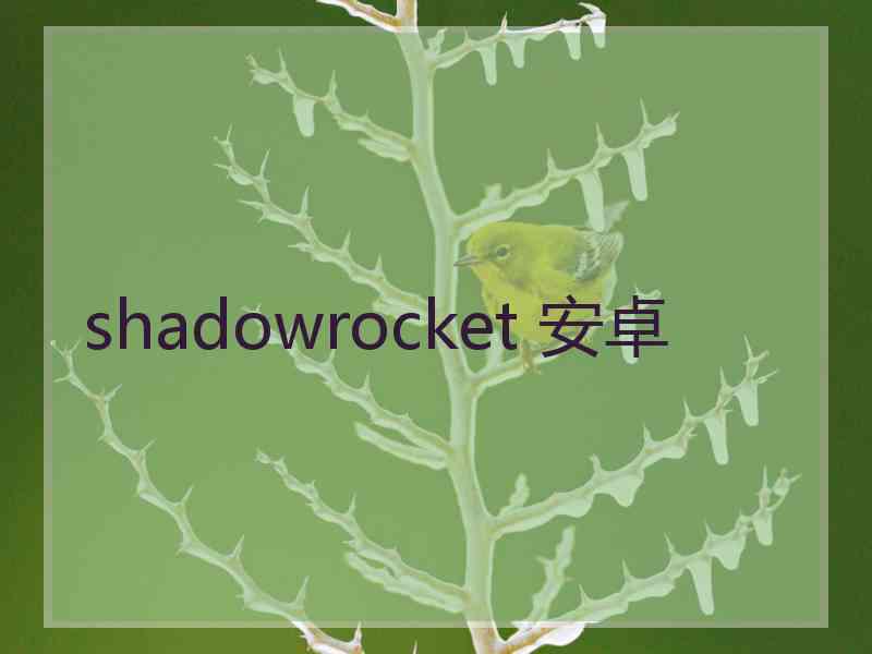 shadowrocket 安卓