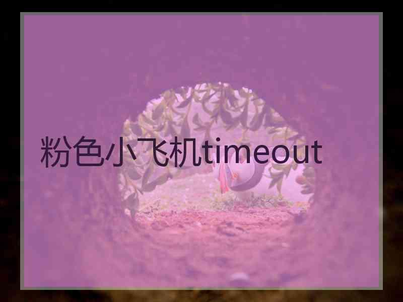 粉色小飞机timeout