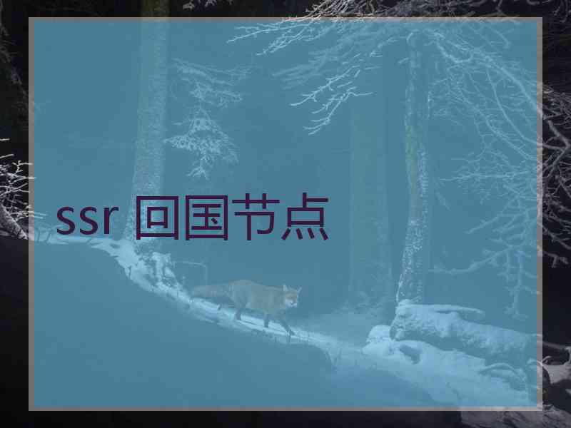 ssr 回国节点