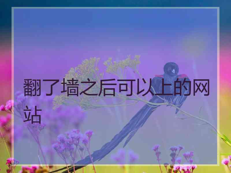翻了墙之后可以上的网站
