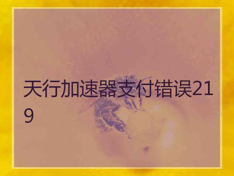天行加速器支付错误219