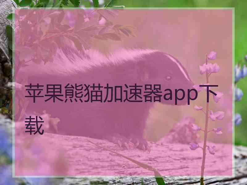苹果熊猫加速器app下载