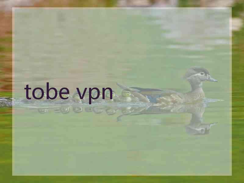 tobe vpn