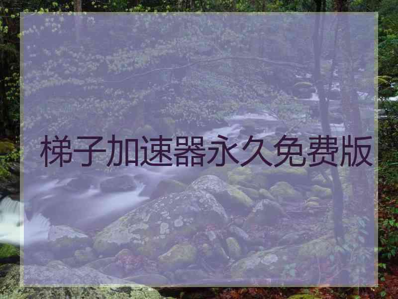 梯子加速器永久免费版