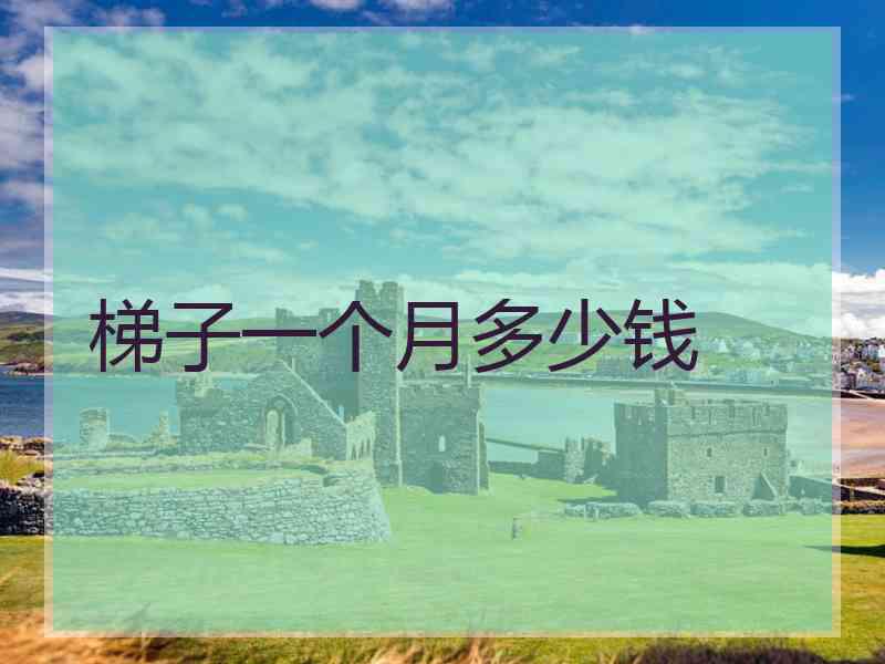梯子一个月多少钱