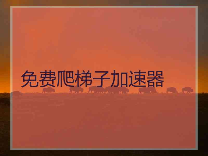 免费爬梯子加速器