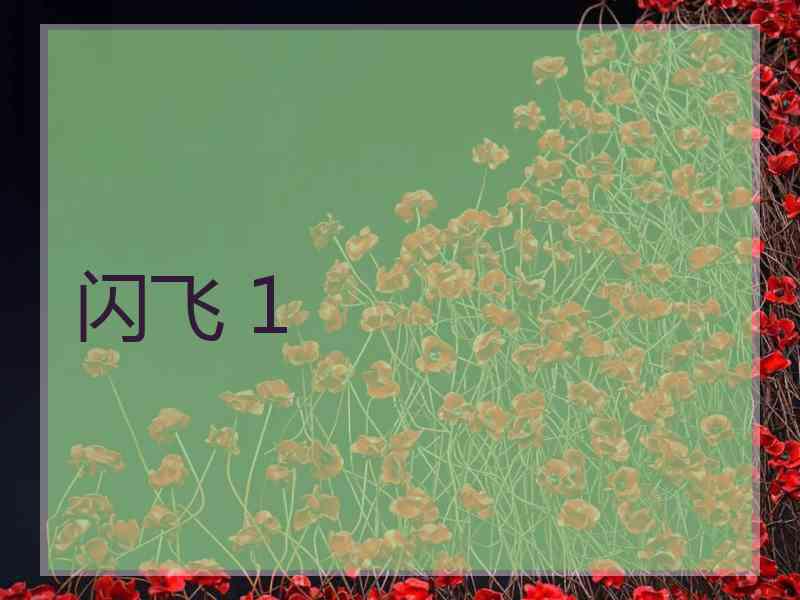 闪飞 1