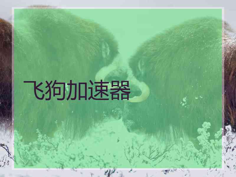 飞狗加速器