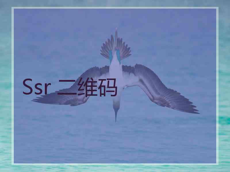 Ssr 二维码