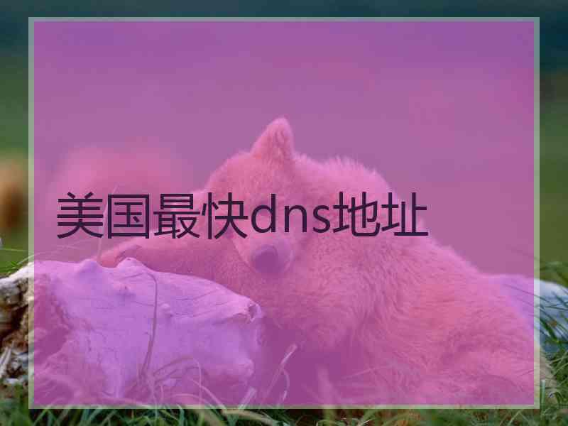 美国最快dns地址