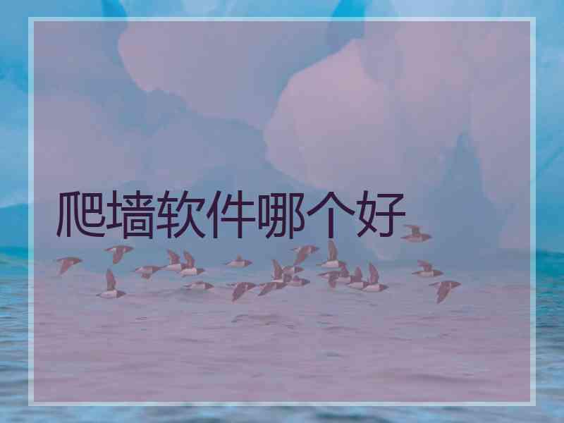 爬墙软件哪个好