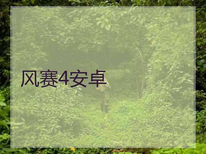 风赛4安卓