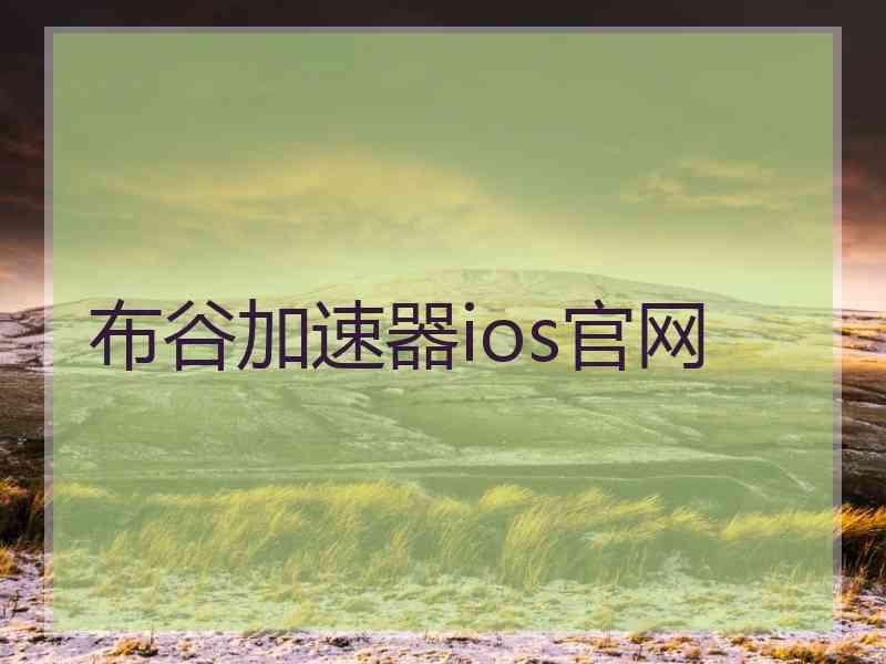 布谷加速器ios官网