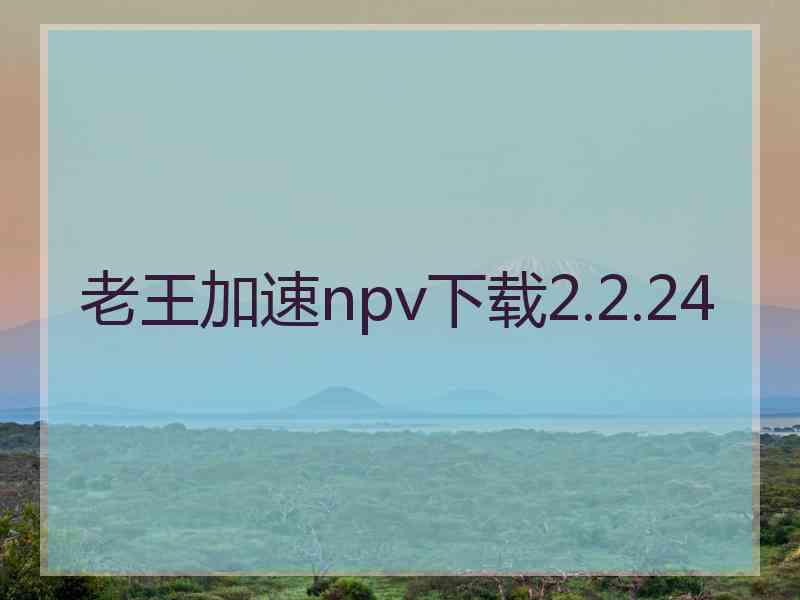 老王加速npv下载2.2.24