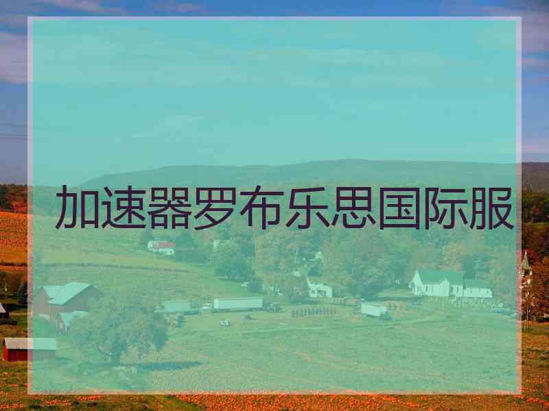 加速器罗布乐思国际服