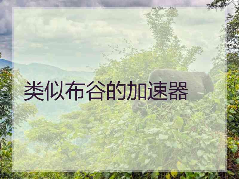 类似布谷的加速器