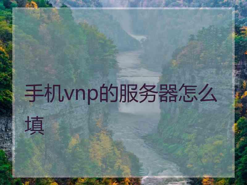 手机vnp的服务器怎么填