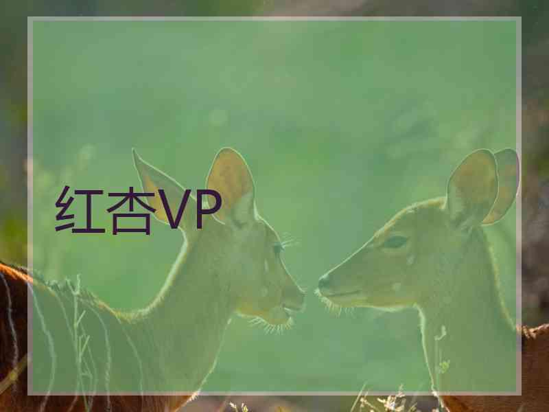 红杏VP