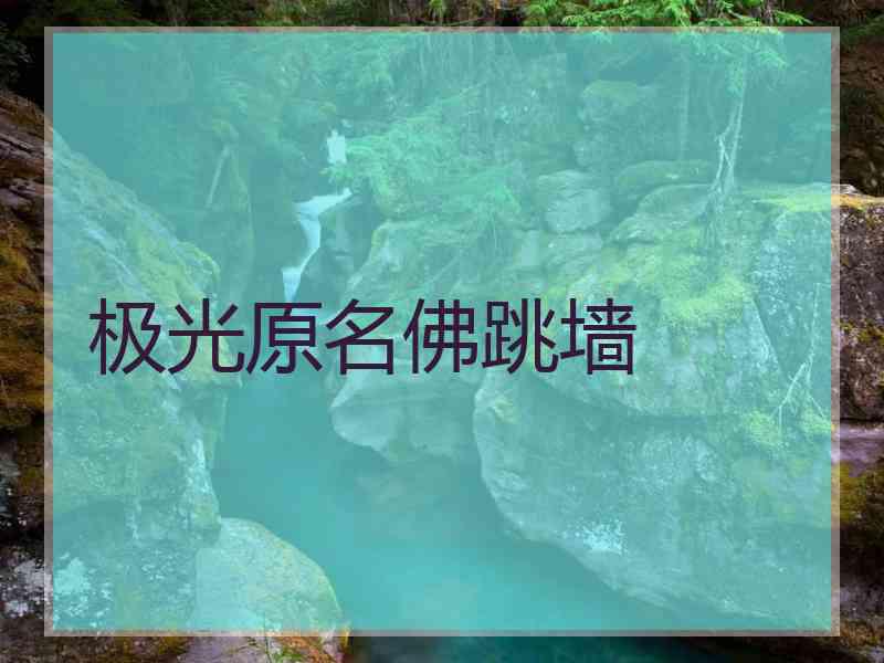 极光原名佛跳墙