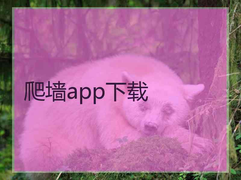 爬墙app下载