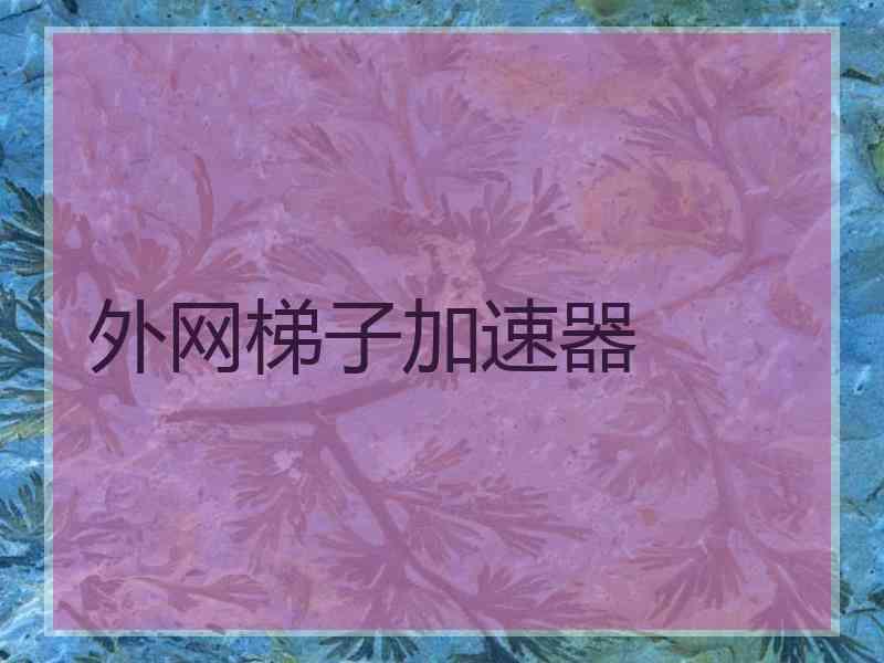 外网梯子加速器