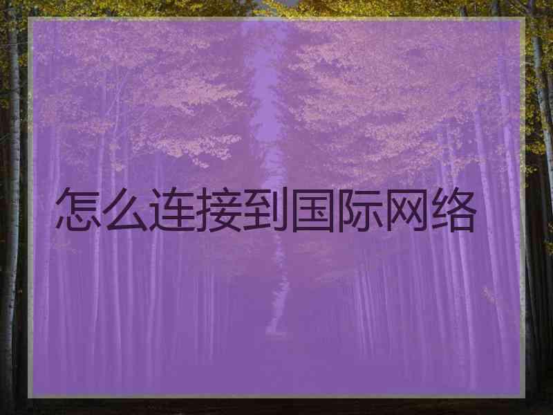 怎么连接到国际网络