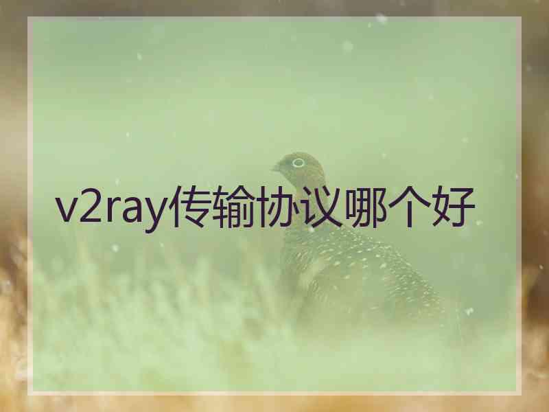 v2ray传输协议哪个好