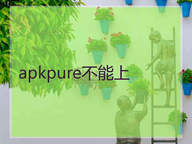 apkpure不能上