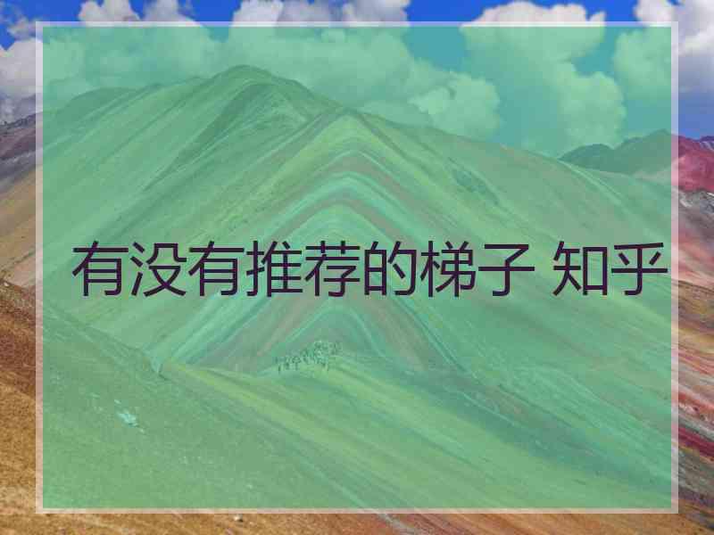 有没有推荐的梯子 知乎