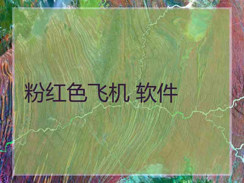 粉红色飞机 软件