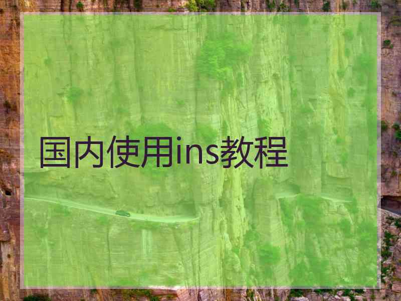 国内使用ins教程