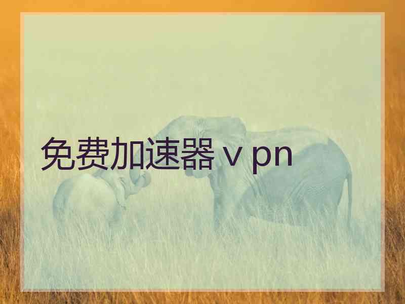 免费加速器ⅴpn